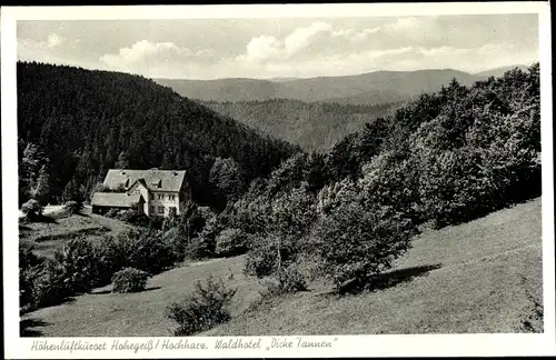 Ak Hohegeiß Braunlage im Oberharz, Waldhotel Dicke Tannen