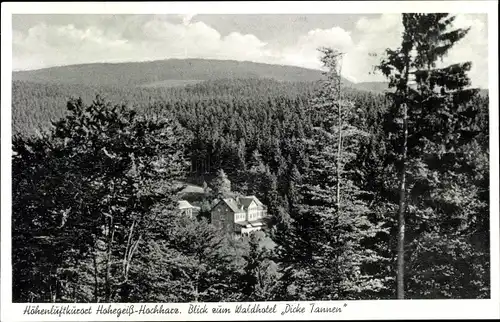 Ak Hohegeiß Braunlage im Oberharz, Waldhotel Dicke Tannen