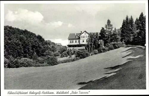 Ak Hohegeiß Braunlage im Oberharz, Waldhotel Dicke Tannen