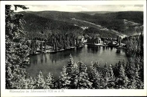 Ak Mummelsee Seebach im Schwarzwald Baden, Panorama