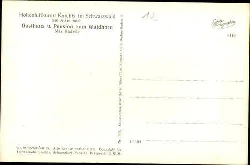 Ak Kniebis Freudenstadt im Nordschwarzwald, Panorama, Gasthaus zum Waldhorn
