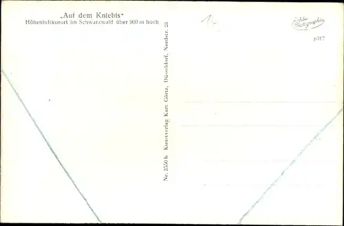 Ak Kniebis Freudenstadt im Nordschwarzwald, Teilansicht