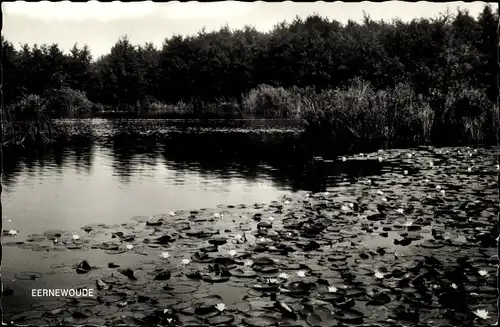 Ak Eernewoude Friesland Niederlande, Teich