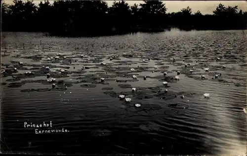 Foto Ak Eernewoude Friesland Niederlande, Prinsehof, Teich