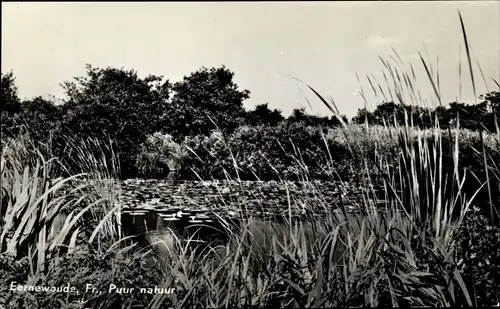 Ak Eernewoude Friesland Niederlande, Puur natuur