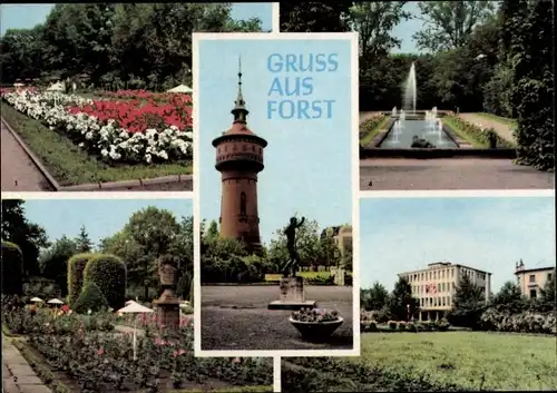 Ak Forst in der Niederlausitz, Rosengarten, Wasserturm, Konsum Warenhaus