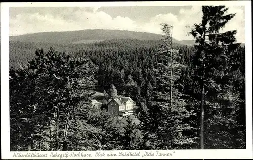 Ak Hohegeiß Braunlage im Oberharz, Waldhotel Dicke Tannen