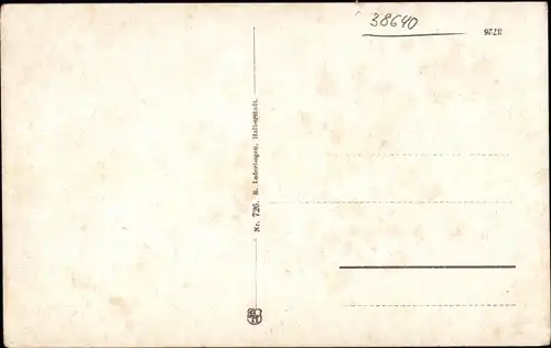 Ak Goslar am Harz, Marktplatz, Achtermann, Frankenberger Plan, Brusttuch, Domkapelle, Kaiserhaus