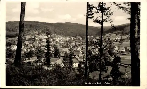 Ak Zell im Odenwald Bad König Odenwald Hessen, Gesamtansicht