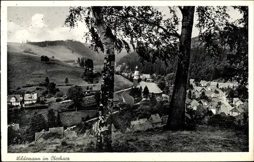 Ak Wildemann Clausthal Zellerfeld im Oberharz, Panorama
