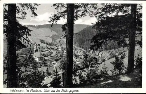 Ak Wildemann Clausthal Zellerfeld im Oberharz, Panorama