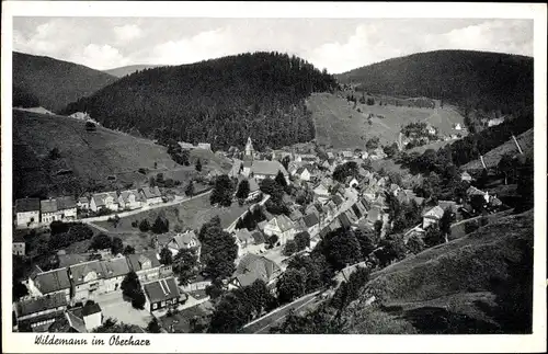 Ak Wildemann Clausthal Zellerfeld im Oberharz, Panorama
