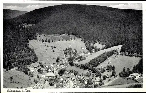 Ak Wildemann Clausthal Zellerfeld im Oberharz, Panorama