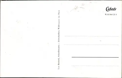 Ak Wildemann Clausthal Zellerfeld im Oberharz, Spiegelbad