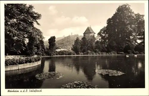 Ak Weinheim an der Bergstraße Baden, Schlossteich