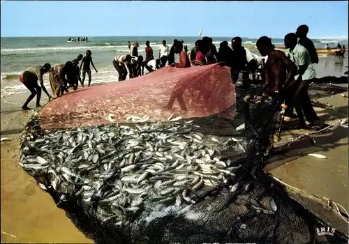 Ak Afrika, Scene de Peche, Fishing scene