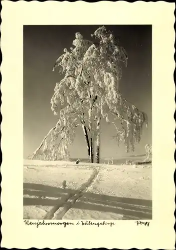 Ak Eulengebirge Schlesien, Neujahrsmorgen, Baum im Schnee