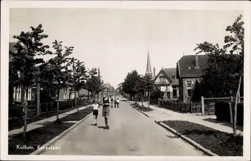 Ak Kollum Kollumerland en Nieuwkruisland Friesland Niederlande, Eskeslaan