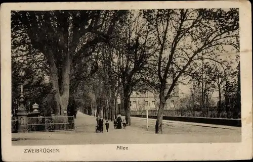 Ak Zweibrücken in Rheinland Pfalz, Allee mit Familie beim Spaziergang