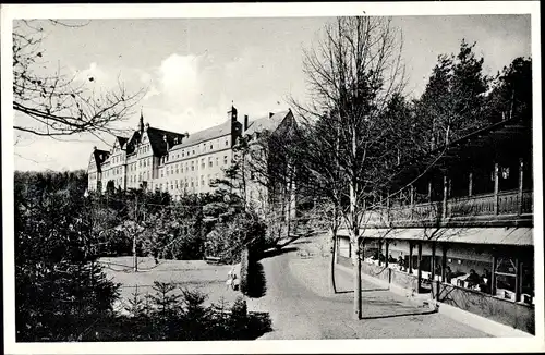 Ak Waldbreitbach in Rheinland Pfalz, Partie im Park