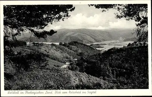 Ak Waldbröl im Oberbergischen Land, Blick vom Nitscheid ins Siegtal