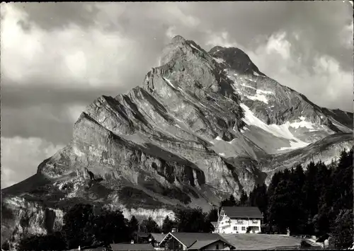 Ak Braunwald Kanton Glarus, Berghotel Ahorn, Ortstock