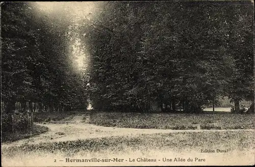 Ak Hermanville sur Mer Calvados, Le Chateau, Une Allee du Parc