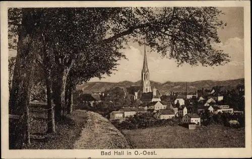 Ak Bad Hall Oberösterreich, Blick auf den Ort