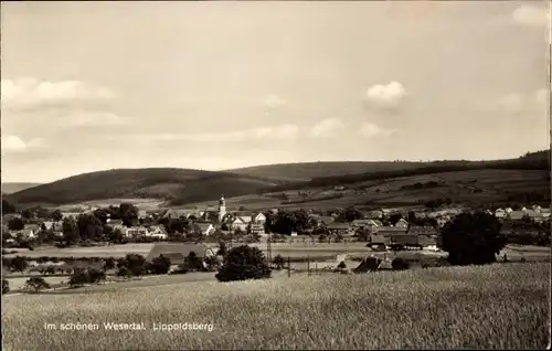 Ak Lippoldsberg Wahlsburg Weserbergland, Teilansicht, Panorama