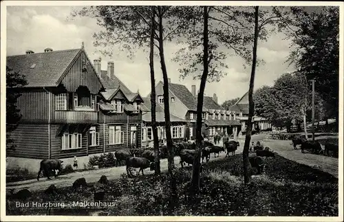 Ak Bad Harzburg am Harz, Molkenhaus