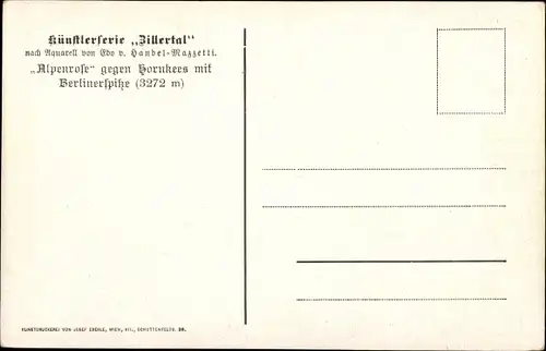 Künstler Ak Handel-Mazzetti, E. v. Zillertal Tirol, Alpenrose gegen Hornkers, Berlinerspitze