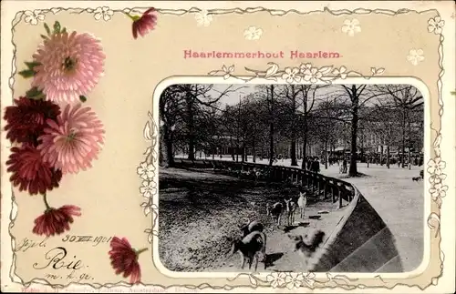 Passepartout Ak Haarlem Nordholland Niederlande, Haarlemmerhout, Wildgehege, Blumen