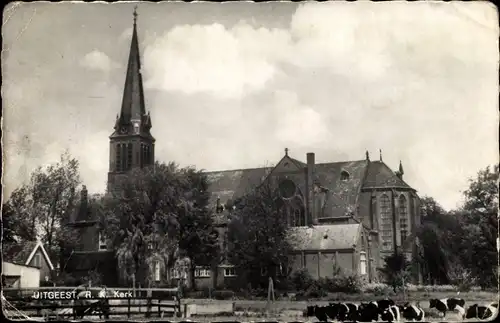 Ak Uitgeest Nordholland Niederlande, R. K. Kerk, Kühe