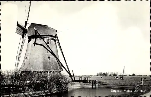 Ak Uitgeest Nordholland Niederlande, Molen de Dog