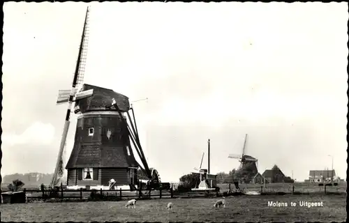 Ak Uitgeest Nordholland Niederlande, Molens