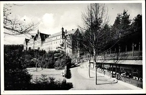 Ak Waldbreitbach in Rheinland Pfalz, Partie im Park