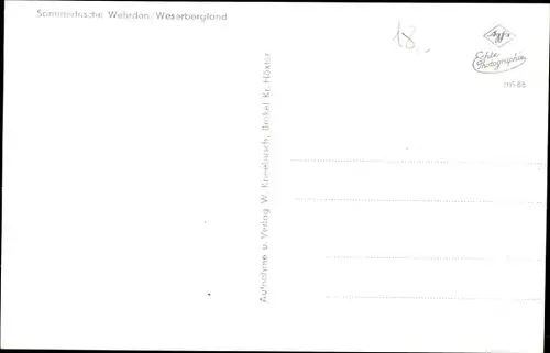 Ak Wehrden Beverungen Nordrhein Westfalen, Durchblick zum Weserdampfer und Ort