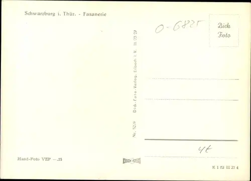 Ak Schwarzburg in Thüringen, Fasanerie, Gaststätte, Gartenlokal