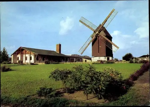 Ak Fahrland Potsdam in Brandenburg, Windmühle, Grillrestaurant Mühlenbaude