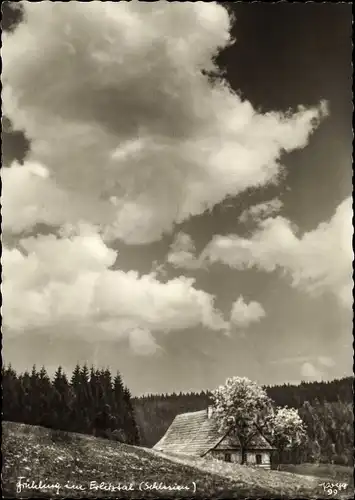 Ak Schlesien Polen, Frühling im Erlitztal