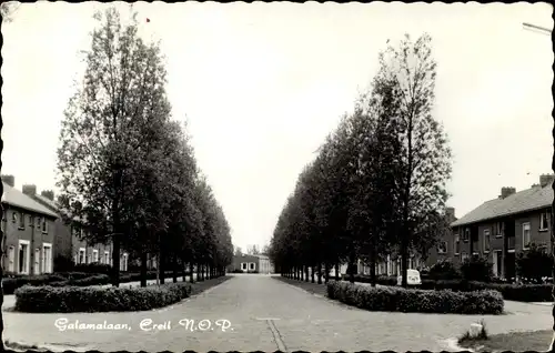 Ak Creil Flevoland Niederlande, Galamalaan