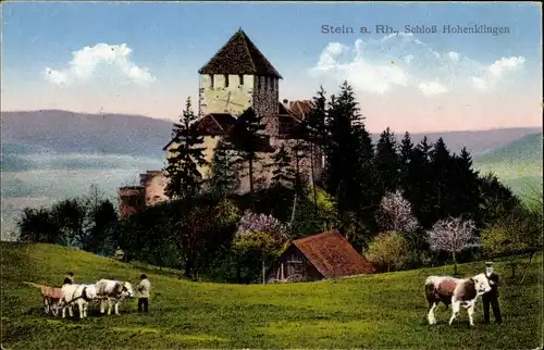 Ak Stein am Rhein Kanton Schaffhausen, Schloss Hohenklingen