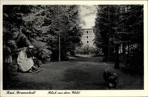 Ak Bad Bramstedt in Holstein, Blick aus Wald