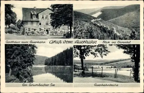Ak Auerhahn Hahenklee Goslar am Harz, Zum Auerhahn, Auerhahnteiche, Bärental, Gasthaus z. Auerhahn