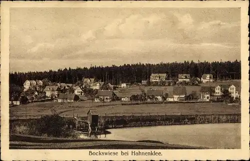 Ak Hahnenklee Bockswiese Goslar im Harz, Gesamtansicht