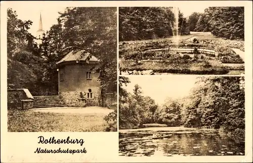 Ak Rothenburg in der Oberlausitz, Partie im Naturschutzpark