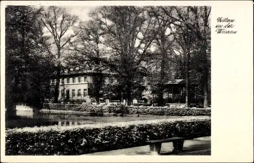 Ak Zittau in Sachsen, in der Weinau