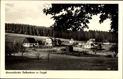 Ak Falkenhain Altenberg im Osterzgebirge, Panorama