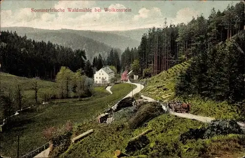 Ak Wolkenstein Erzgebirge, Sommerfrische Waldmühle am Waldesrand