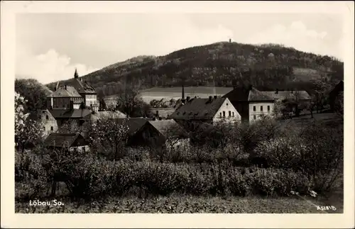 Ak Löbau in Sachsen, Teilansicht mit Löbauer Berg